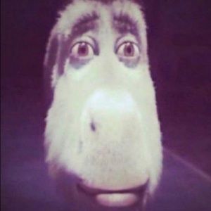 Meet your Posher, Sam